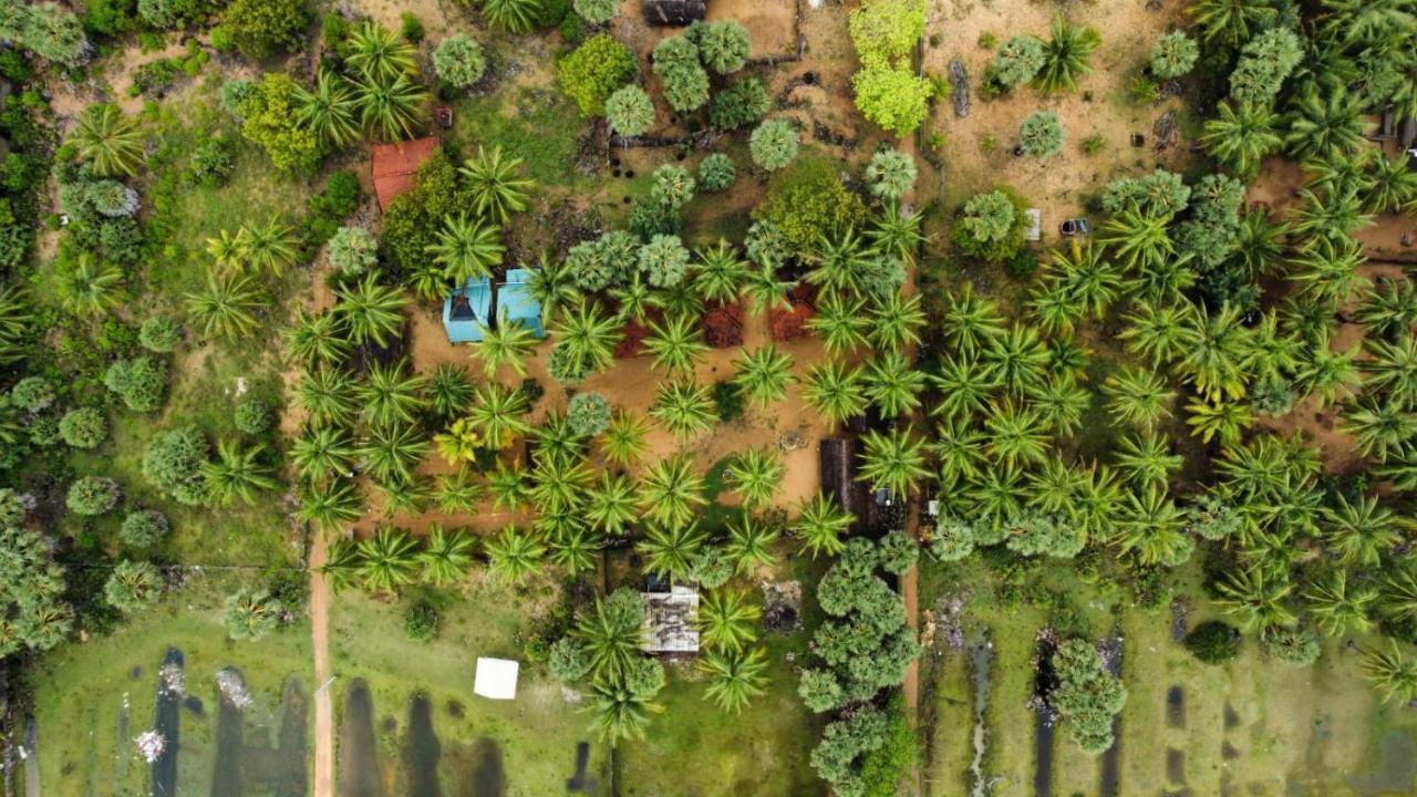 Araliya Villa Kalpitiya Exterior foto